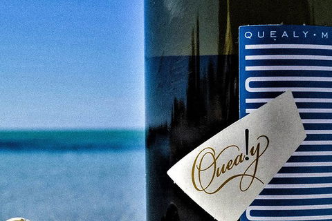 Mornington Peninsula 2-6 Guests Lunch And Inc Wine Tasting At Quealy Winemakers - Accommodation ACT 0