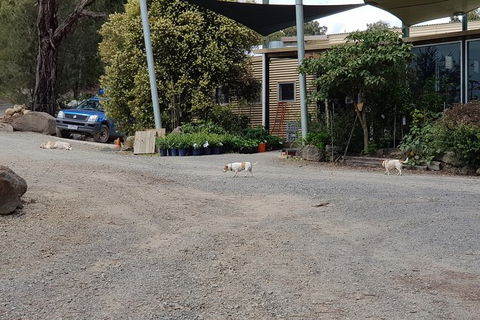 Yarra Valley Wineries And Rayners Orchard Tour From Melbourne - Accommodation ACT 24