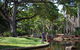 Darwin City Sights And Jumping Crocodile Cruise - thumb 9