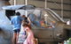 Darwin City Sights And Jumping Crocodile Cruise - thumb 11