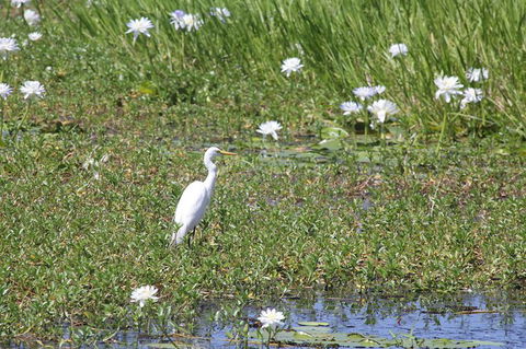 Darwin City Sights And Jumping Crocodile Cruise - Accommodation ACT 1