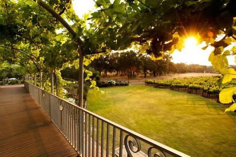 Busselton And Scenic Drive Full Day Tour - Accommodation ACT 9