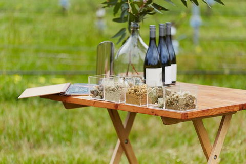 Organic Vineyard/Farm Tour - Accommodation ACT 3