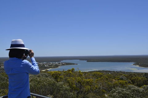Full-Day Killer Whale Expedition From Albany - Accommodation ACT 5