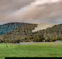 Baldwins Bluff Guided Hike - Accommodation ACT