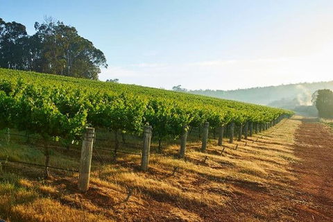 Botanical Gardens, Winery And Scenic Full Day Tour - Accommodation ACT 2