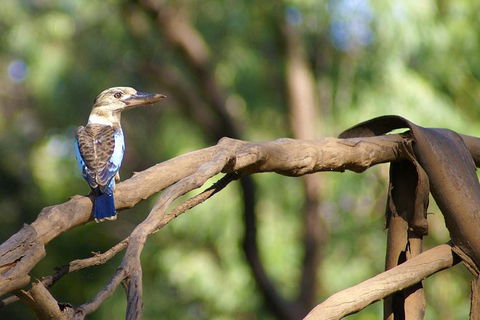 Ord River Experience With Riverside Lunch - Accommodation ACT 1