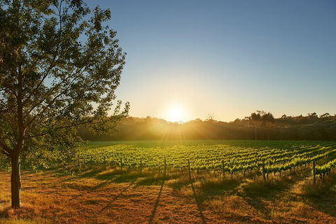 Private Barrel Hall Wine Tasting In The Margaret River Region - Accommodation ACT 3