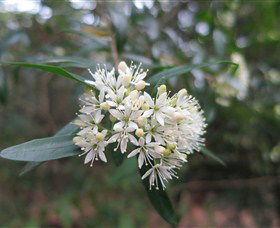 Booderee National Park - Accommodation ACT 0