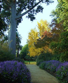 Albury NSW Accommodation ACT