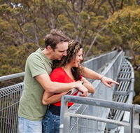 Valley of the Giants Tree Top Walk - Accommodation ACT