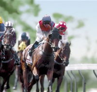 Colac Turf Club - Accommodation ACT