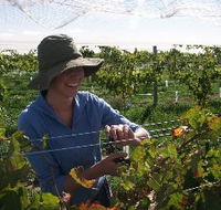 Kingsdale Wines - Accommodation ACT