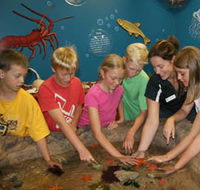 Naturaliste Marine Discovery Centre - Accommodation ACT