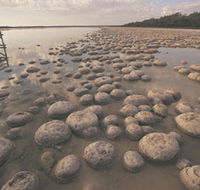 Lake Clifton Thrombolites - Accommodation ACT