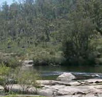 Wellington Discovery Forest - Accommodation ACT
