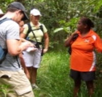 Ingan Tours - Spirit of the Rainforest Tour - Accommodation ACT