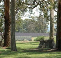 Aloomba Lavender - Accommodation ACT