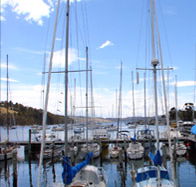 Oyster Cove Inn - Accommodation ACT