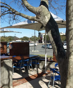 Lakers Tavern - Accommodation ACT 3