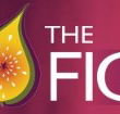 Pickled Fig - Accommodation ACT