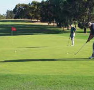 Waikerie Golf Club - Accommodation ACT