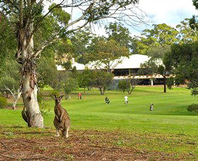 Pambula Merimbula Golf Club - Accommodation ACT 0