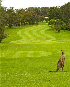 Pambula Merimbula Golf Club - Accommodation ACT 2