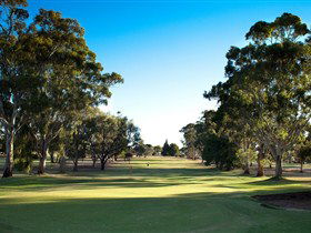 Loxton Golf Club - Accommodation ACT 0