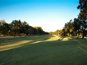 Loxton Golf Club - Accommodation ACT 2