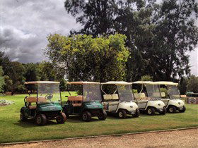 Loxton Golf Club - Accommodation ACT 1
