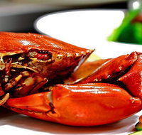 Newquay International Buffet - Accommodation ACT