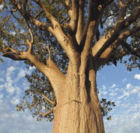 The Kimberley Grande - Accommodation ACT