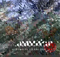 Antica Australis - Winter Fire Festival - Accommodation ACT