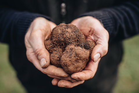 A Taste Of Truffles - Accommodation ACT 0