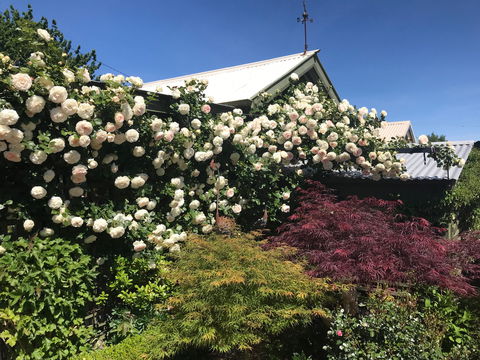 Crookwell Garden Festival - Accommodation ACT 1