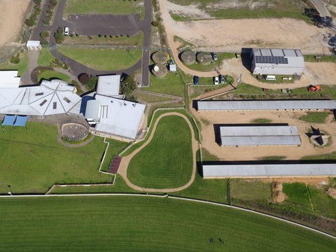 Eden Cup Race Day - Accommodation ACT 0
