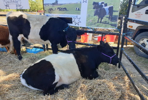 Murrumbateman Field Days - Accommodation ACT 2