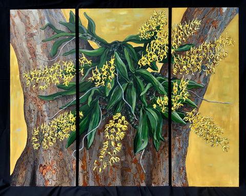 A Still Life - Solo Exhibition  Karen Sedaitis - Accommodation ACT 1