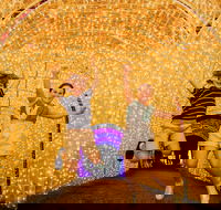 Christmas Lights Spectacular New Year's Eve at Hunter Valley Gardens - Accommodation ACT