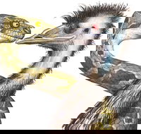 Edward The Emu - Accommodation ACT