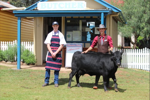 Festival Of The Big Cow - Accommodation ACT 2