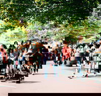 Hahndorf Christkindlmarkt - Accommodation ACT