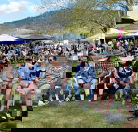 Jamming at Jingellic - Accommodation ACT