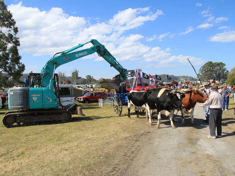 SteamFest 2021 - Accommodation ACT 0