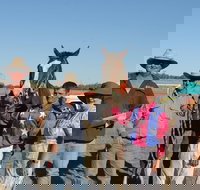 Annual Prairie Races - Accommodation ACT