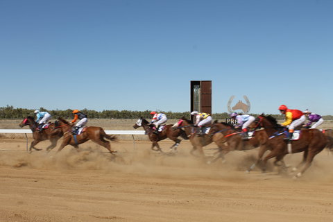 Annual Prairie Races - Accommodation ACT 1