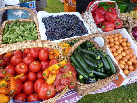 Armidale Farmers' Market - Accommodation ACT 1