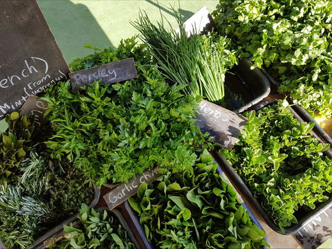 Carlton Farmers' Market - Accommodation ACT 2