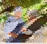 Hunter Valley Gardens Virtual Treasure Trail - Accommodation ACT